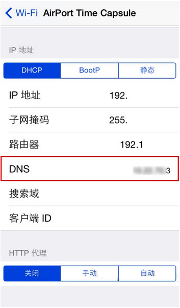 iOS找到DNS设置